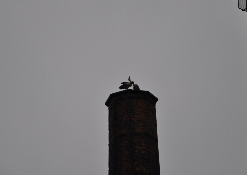 St__rche am 16_ Mai I.JPG