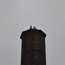 St__rche am 16_ Mai II.JPG