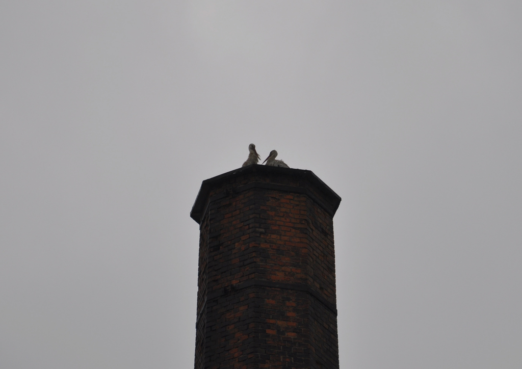 St__rche am 16_ Mai II.JPG