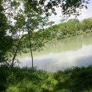 HJ3C6387.jpg