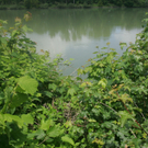 HJ3C6390.jpg