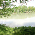 HJ3C6385.jpg