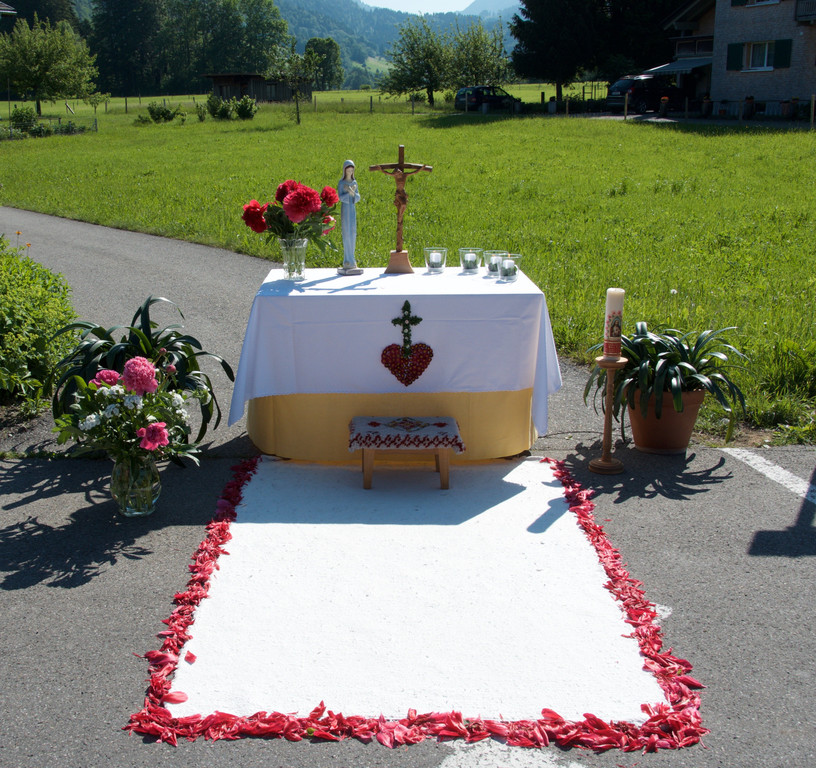 D70_0479.jpg
