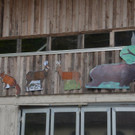 DSC_4053.jpg