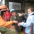 20 05 10_1068.JPG