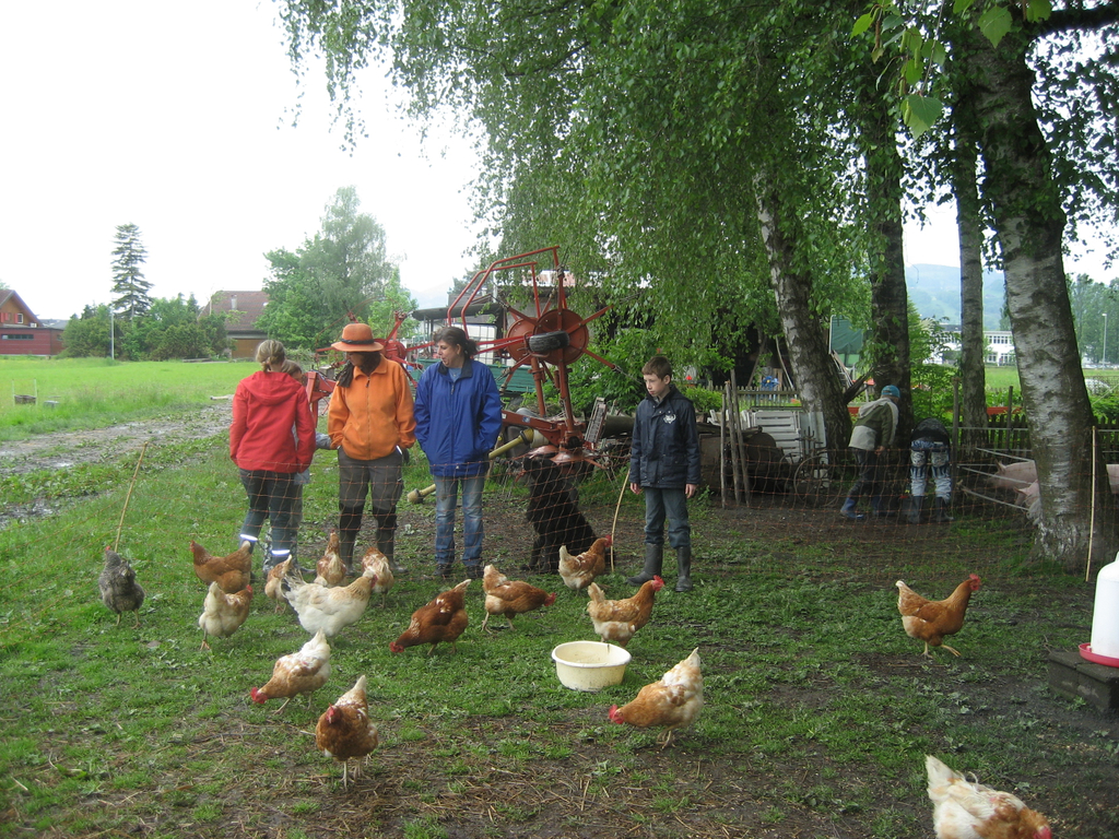 20 05 10_1113.JPG