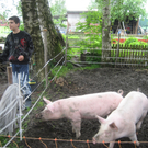20 05 10_1114.JPG