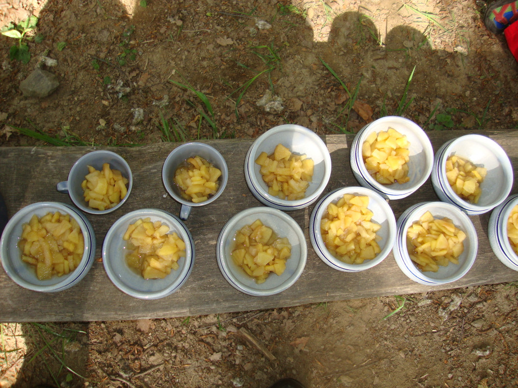 Es gibt Kaiserschmarren - Waldtag_ am 20_5 _24_.JPG