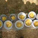 Es gibt Kaiserschmarren - Waldtag_ am 20_5 _24_.JPG