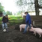 20 05 10_1117.JPG