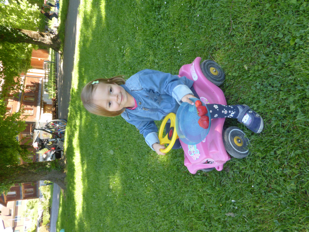 P1040763.JPG