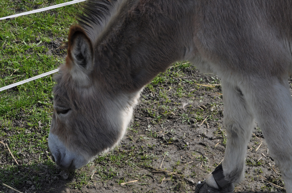 DSC_0063.JPG