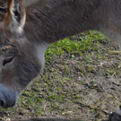 DSC_0064.JPG