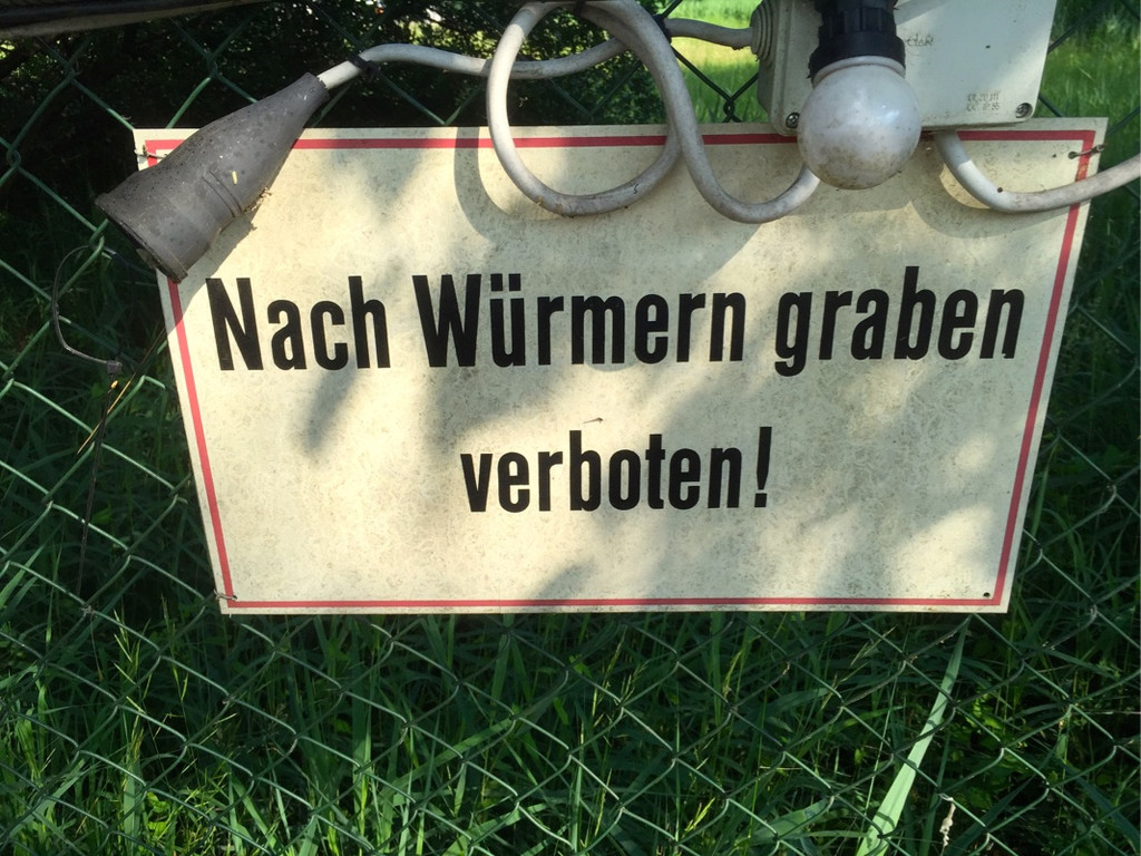 KOE_Anglerparadies Guefel eroeffnet 12.jpg