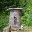 Baumstamm _12_.JPG