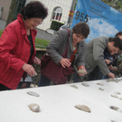 IMG_2260_JPG-1274719132