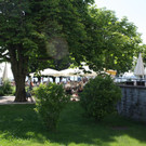 Seehotel 5-Jahres-Feier 2015 _22_.JPG