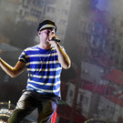 Nova Rock 2015: Beatsteaks