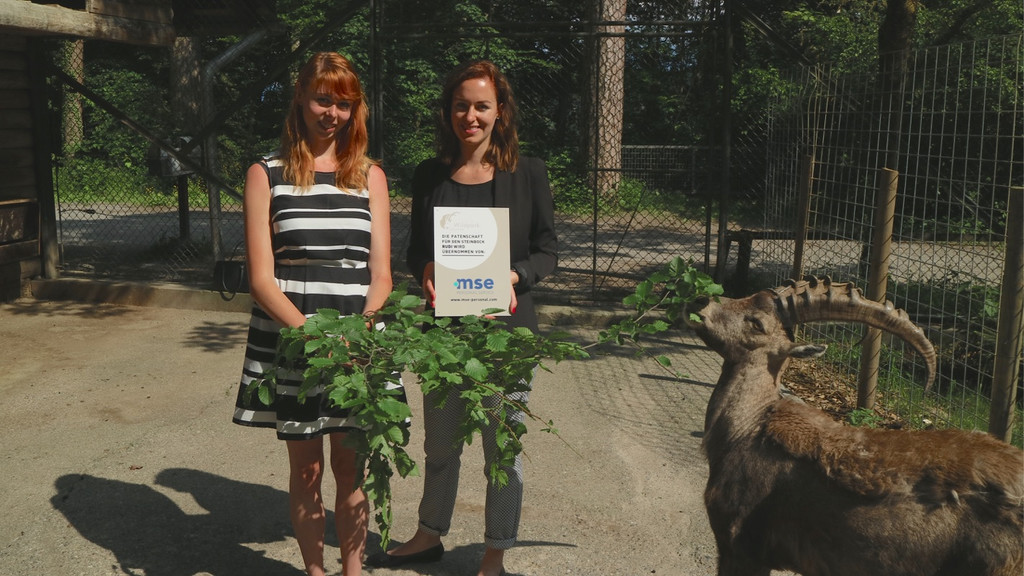 KOE_Wildpark Tierpatenschaften 4.jpg