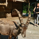 KOE_Wildpark Tierpatenschaften 6.jpg