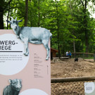 KOE_Wildpark Tierpatenschaften 10.jpg