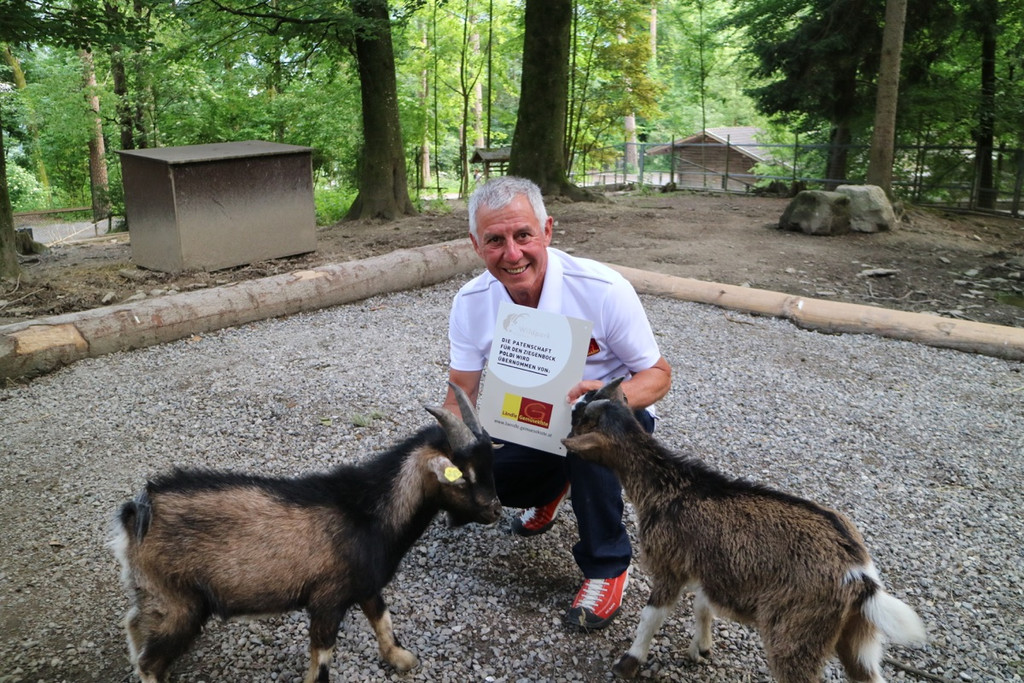 KOE_Wildpark Tierpatenschaften 12.jpg