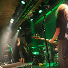 14058484.jpg