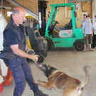 FF-Tag5a_jpg-1274730884