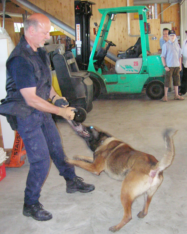 FF-Tag5a_jpg-1274730884