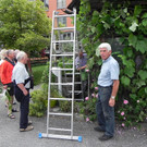 Laubarbeiten bei Reben 