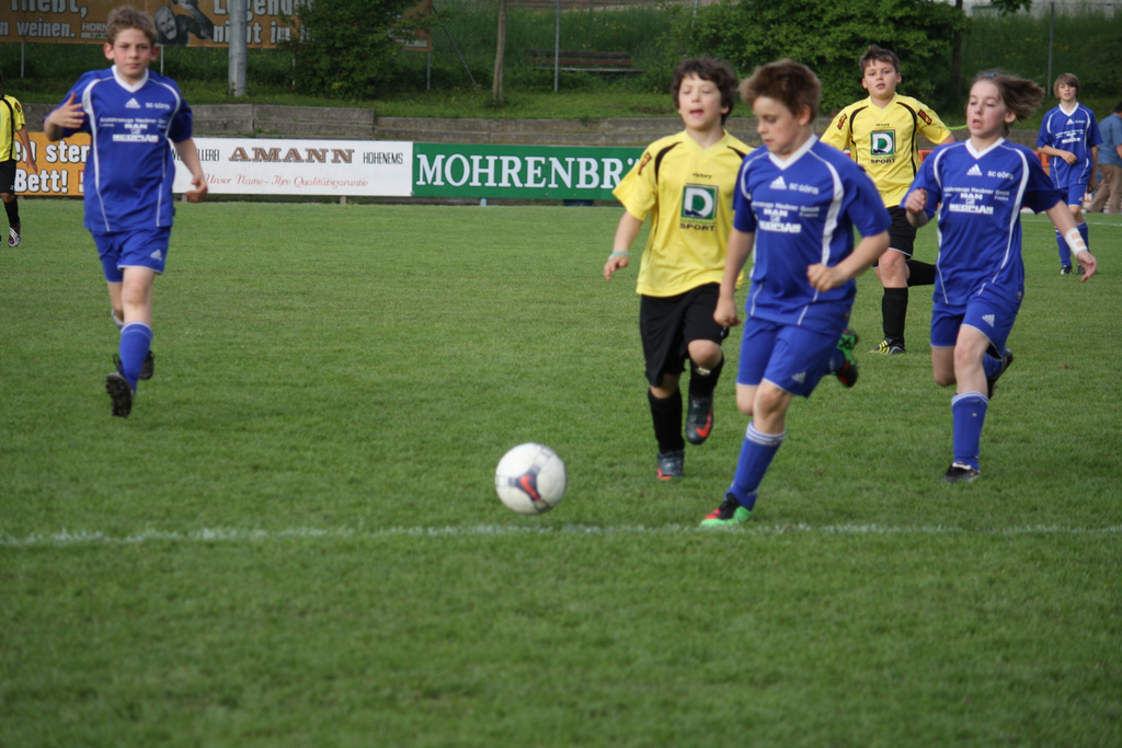 IMG_4161_jpg-1274775107