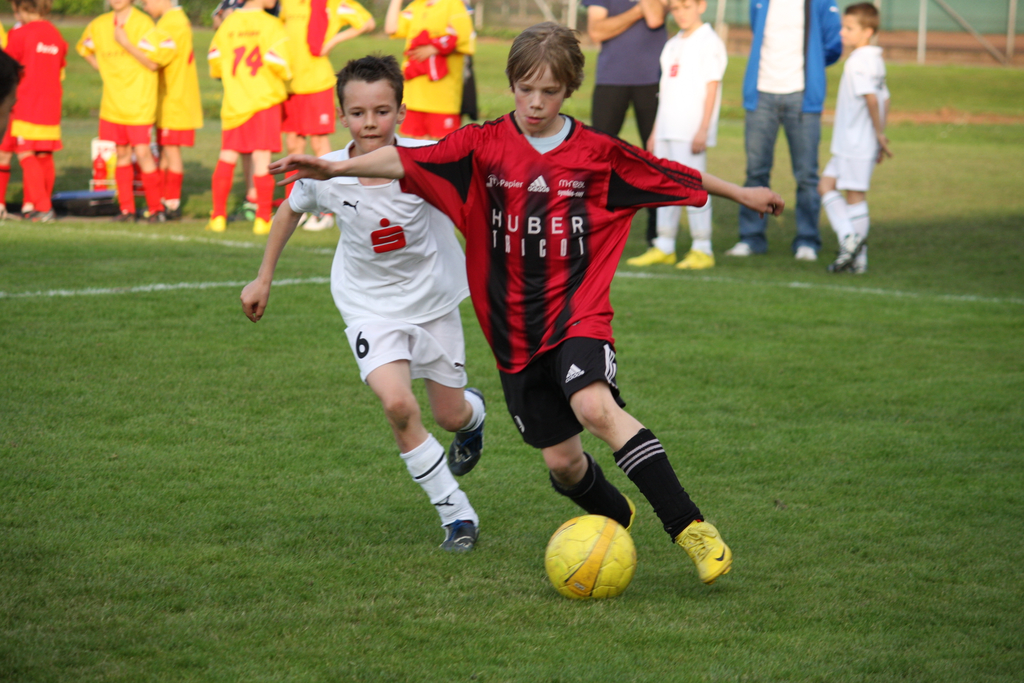 IMG_4204_jpg-1274775146