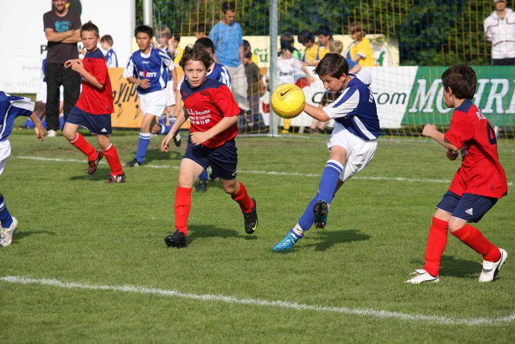 IMG_4040_jpg-1274775195