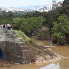 Mehrere Tote bei Unwetter in Tiflis - Raubtiere aus Zoo entlaufen