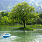 IMG_8725.JPG