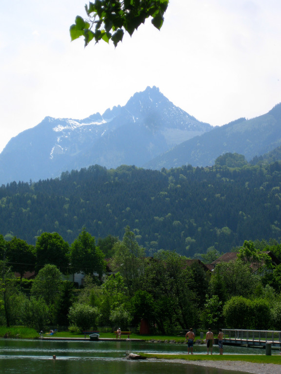 IMG_8743.jpg