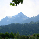 IMG_8743.jpg