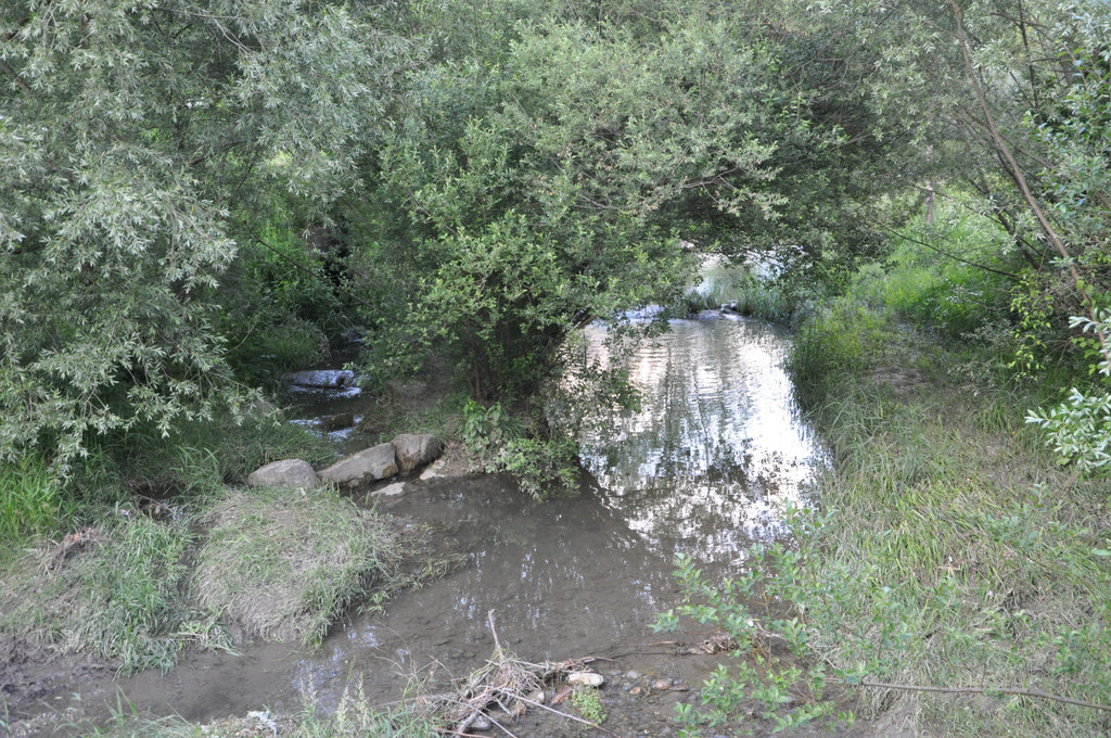 DSC_0144.JPG
