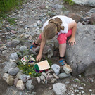 20150610_Bachtag_002.jpg