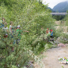 20150610_Bachtag_022.jpg