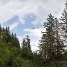 20150607_Rellbruecke_006.jpg