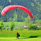 Erste Bilder der EM 