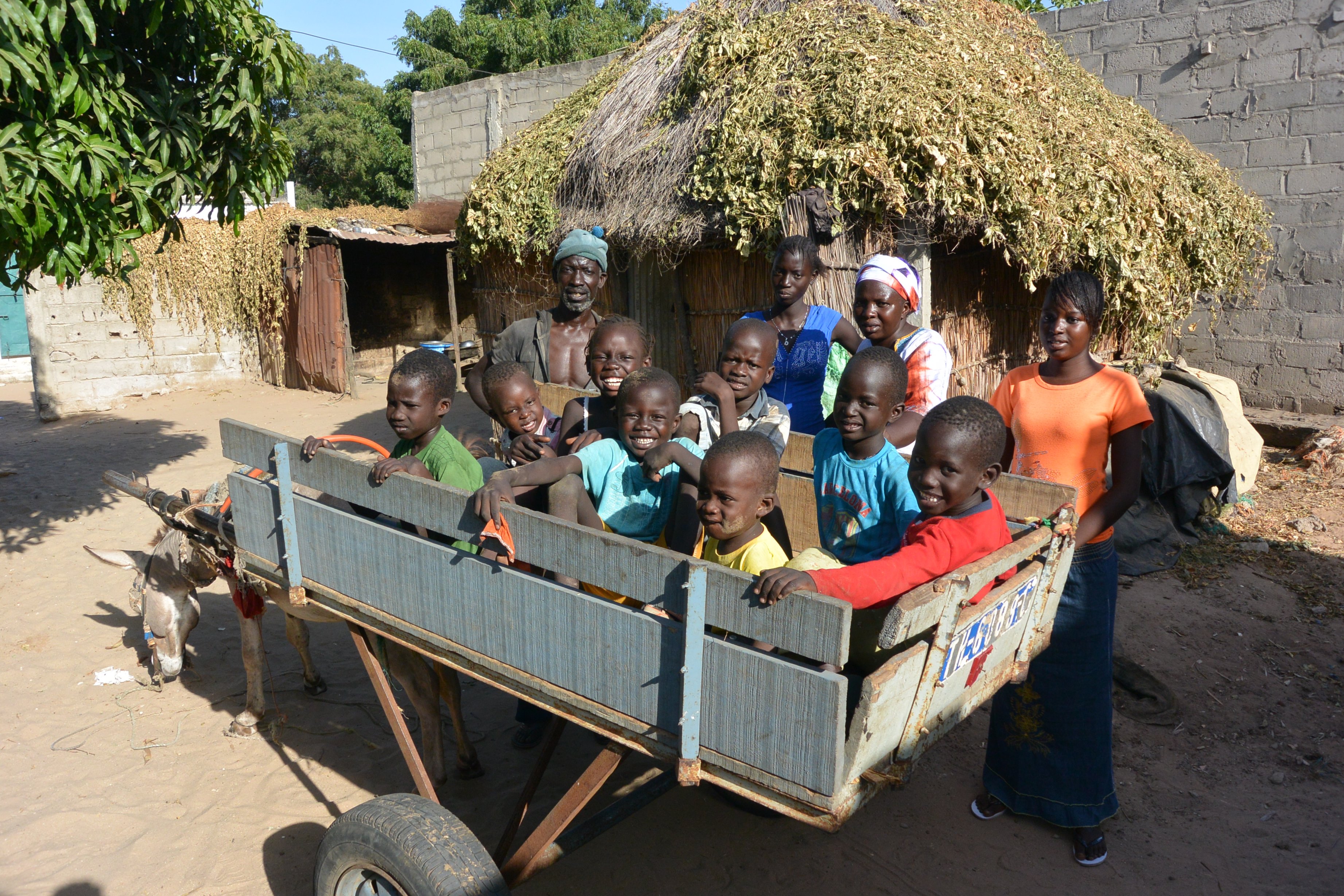 Eselfuhrwerk f__r Fam Sene _2_.JPG