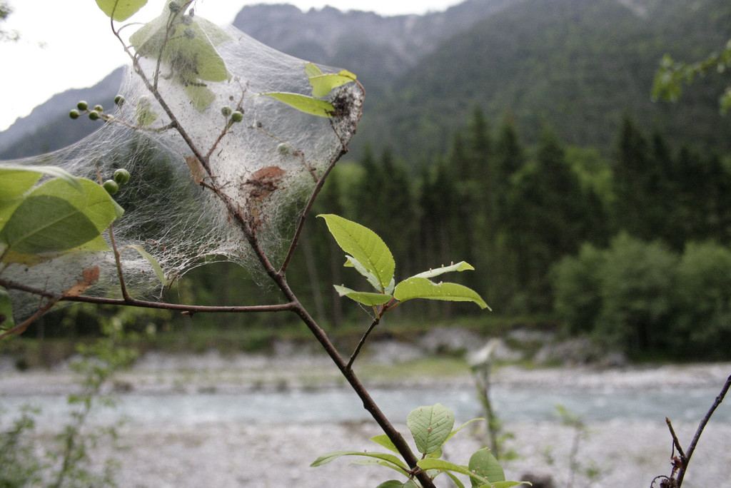 _MG_0398.JPG