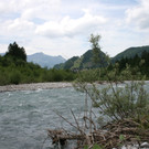 IMG_0444.JPG