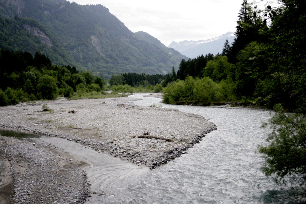 _MG_0404.JPG