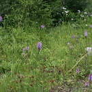 IMG_0386.JPG