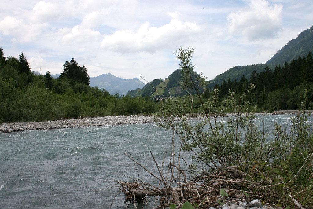 IMG_0444.JPG