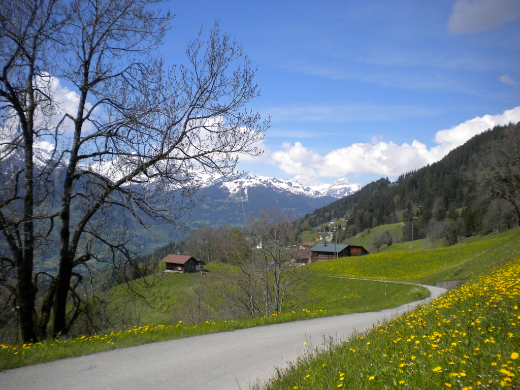 Bild 014_jpg-1274786389