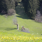 Bild 015_jpg-1274786394